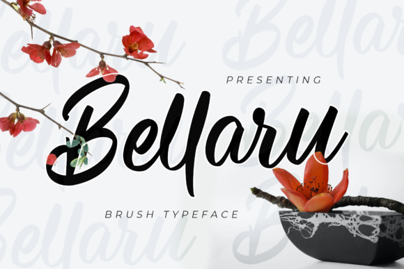 Bellaru Font: A Friendly Script for Modern Branding