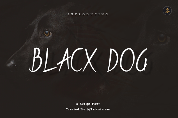 Blacx Dog Font: A Designer’s Campaign Review
