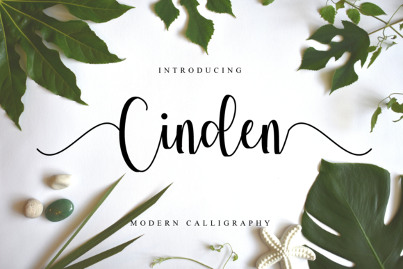 Cinden Font Review: A Modern Script for Web Design